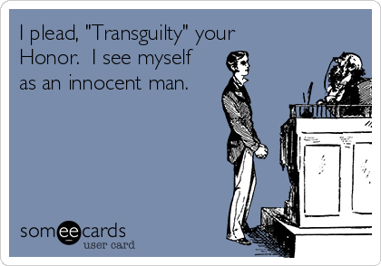 I plead, "Transguilty" your
Honor.  I see myself
as an innocent man.