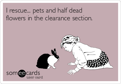 I rescue... pets and half dead
flowers in the clearance section. 