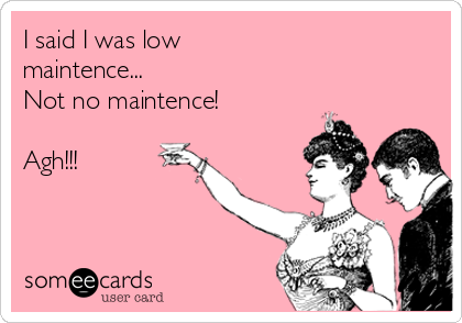 I said I was low 
maintence... 
Not no maintence!

Agh!!! 