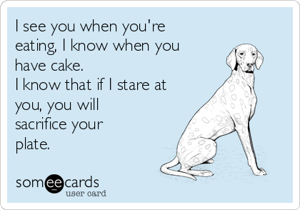 I see you when you're
eating, I know when you
have cake.
I know that if I stare at
you, you will
sacrifice your
plate.