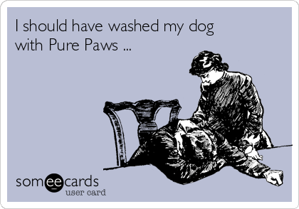 I should have washed my dog
with Pure Paws ...