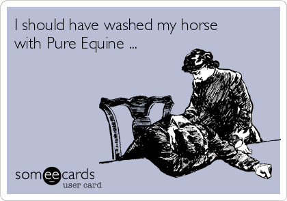 I should have washed my horse
with Pure Equine ...