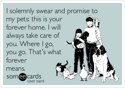 I solemnly swear and promise to
my pets: this is your
forever home. I will
always take care of
you. Where I go,
you go. That's what
forever
means.