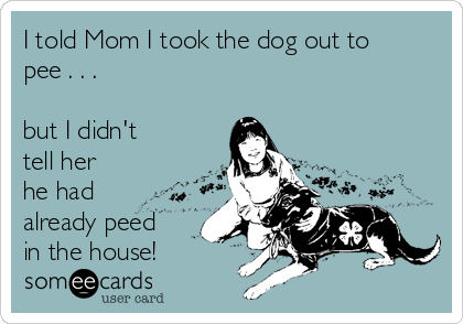 I told Mom I took the dog out to
pee . . . 

but I didn't
tell her
he had
already peed
in the house!