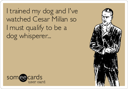 I trained my dog and I've
watched Cesar Millan so
I must qualify to be a
dog whisperer...