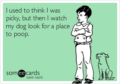 I used to think I was
picky, but then I watch
my dog look for a place
to poop.