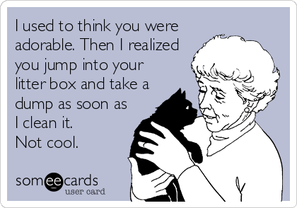 I used to think you were
adorable. Then I realized
you jump into your
litter box and take a
dump as soon as
I clean it.
Not cool.