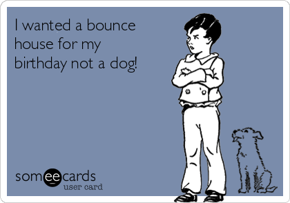 I wanted a bounce
house for my
birthday not a dog! 