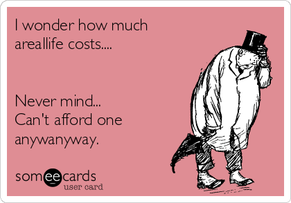 I wonder how much
areallife costs....


Never mind...
Can't afford one
anywanyway.