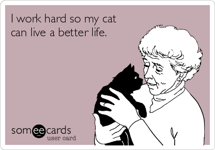 I work hard so my cat
can live a better life.