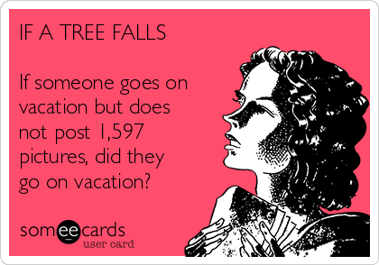 IF A TREE FALLS

If someone goes on
vacation but does
not post 1,597
pictures, did they
go on vacation?