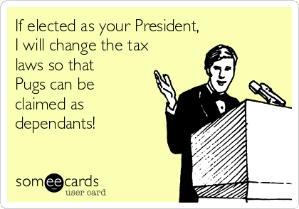 If elected as your President, 
I will change the tax
laws so that
Pugs can be
claimed as
dependants! 