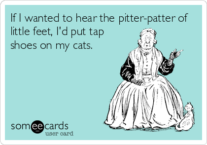 If I wanted to hear the pitter-patter of
little feet, I'd put tap
shoes on my cats.