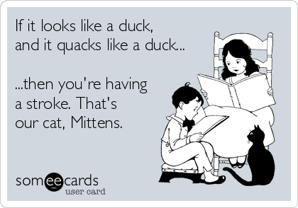 If it looks like a duck,
and it quacks like a duck...

...then you're having
a stroke. That's
our cat, Mittens.
