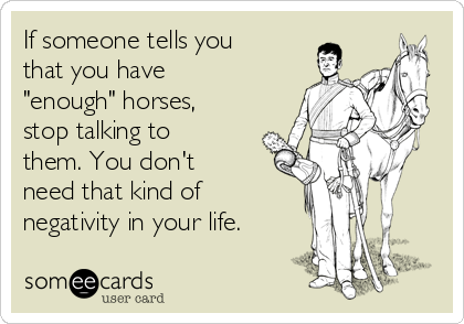 If someone tells you
that you have
"enough" horses,
stop talking to
them. You don't
need that kind of
negativity in your life.