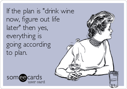 If the plan is "drink wine
now, figure out life
later" then yes,
everything is
going according
to plan.