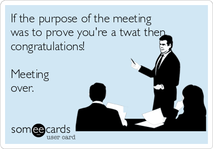 If the purpose of the meeting
was to prove you're a twat then
congratulations! 

Meeting
over.