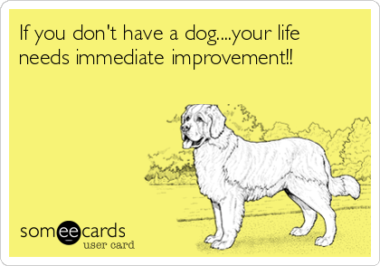 If you don't have a dog....your life
needs immediate improvement!!