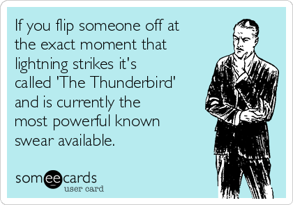 If you flip someone off at
the exact moment that
lightning strikes it's
called 'The Thunderbird'
and is currently the
most powerful known
swear available.