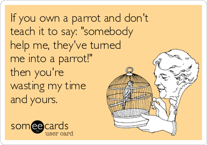 If you own a parrot and don't
teach it to say: "somebody
help me, they've turned
me into a parrot!"
then you're
wasting my time
and yours.