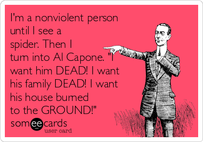 I'm a nonviolent person
until I see a
spider. Then I
turn into Al Capone. "I
want him DEAD! I want
his family DEAD! I want
his house burned
to the GROUND!"