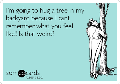 I'm going to hug a tree in my
backyard because I cant
remember what you feel
like!! Is that weird?