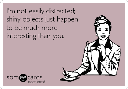 I'm not easily distracted;
shiny objects just happen
to be much more
interesting than you.