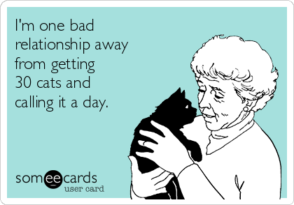 I'm one bad
relationship away
from getting  
30 cats and
calling it a day.