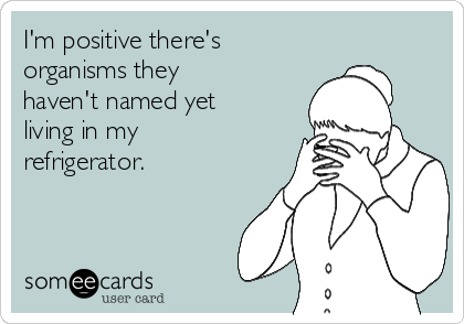 I'm positive there's
organisms they
haven't named yet
living in my
refrigerator. 