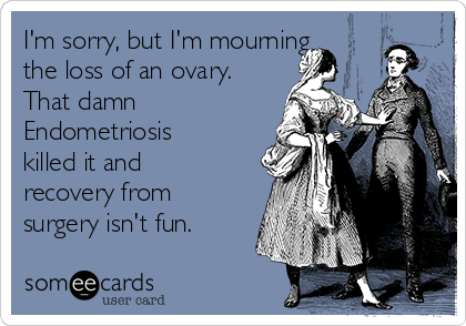 I'm sorry, but I'm mourning
the loss of an ovary.
That damn
Endometriosis
killed it and
recovery from
surgery isn't fun. 