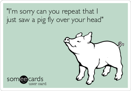 "I'm sorry can you repeat that I
just saw a pig fly over your head"