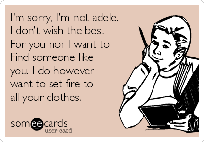 I'm sorry, I'm not adele.
I don't wish the best 
For you nor I want to 
Find someone like
you. I do however
want to set fire to
all your clothes.