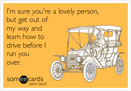 I'm sure you're a lovely person,
but get out of
my way and
learn how to
drive before I
run you
over.