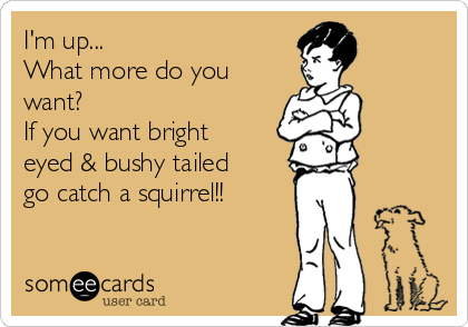 I'm up... 
What more do you
want? 
If you want bright
eyed & bushy tailed
go catch a squirrel!!