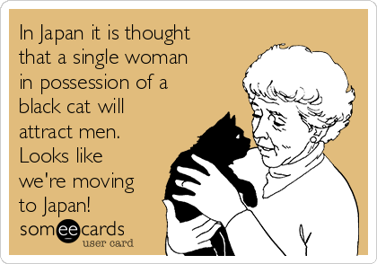 In Japan it is thought
that a single woman
in possession of a
black cat will
attract men.
Looks like
we're moving
to Japan!