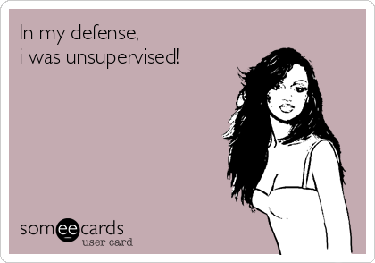 In my defense,               
i was unsupervised!