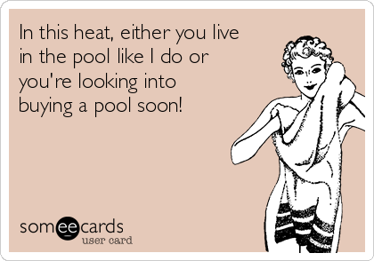 In this heat, either you live
in the pool like I do or
you're looking into
buying a pool soon!