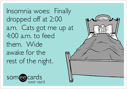 Insomnia woes:  Finally
dropped off at 2:00
a.m.  Cats got me up at
4:00 a.m. to feed
them.  Wide
awake for the
rest of the night.