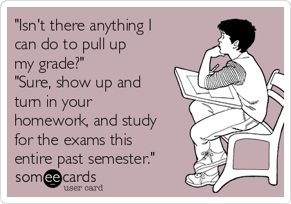 "Isn't there anything I
can do to pull up
my grade?"      
"Sure, show up and
turn in your
homework, and study
for the exams this
entire past semester."