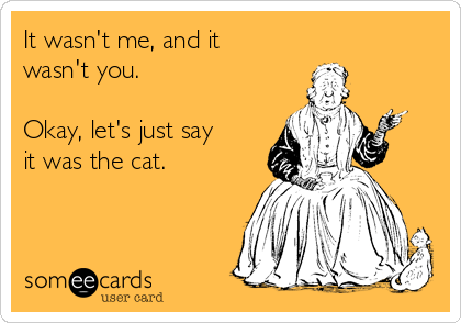It wasn't me, and it
wasn't you.

Okay, let's just say
it was the cat.