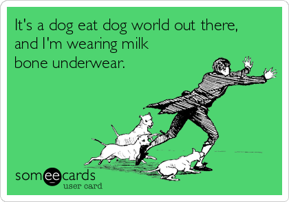 It's a dog eat dog world out there,
and I'm wearing milk
bone underwear.