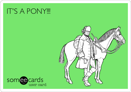 IT'S A PONY!!!