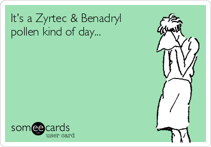 It's a Zyrtec & Benadryl
pollen kind of day...