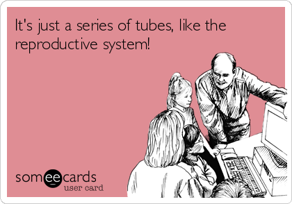 It's just a series of tubes, like the
reproductive system! 