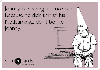 Johnny is wearing a dunce cap 
Because he didn't finish his
Netlearning... don't be like
Johnny.