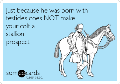 Just because he was born with
testicles does NOT make
your colt a
stallion
prospect.