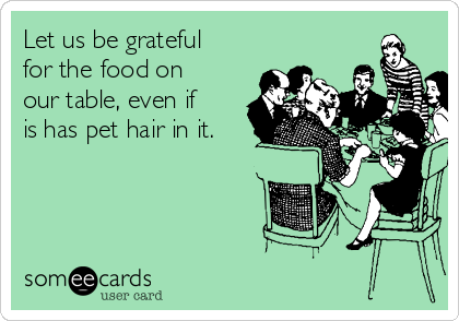 Let us be grateful
for the food on
our table, even if
is has pet hair in it.