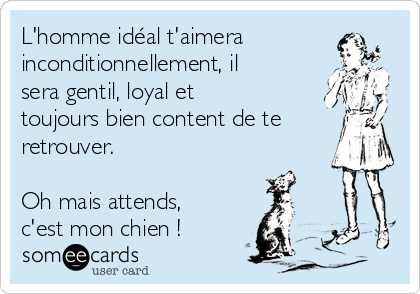 L'homme idéal t'aimera
inconditionnellement, il
sera gentil, loyal et
toujours bien content de te
retrouver.

Oh mais attends,
c'est mon chien !