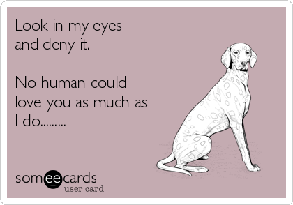 Look in my eyes 
and deny it. 

No human could
love you as much as
I do.........