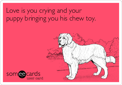 Love is you crying and your
puppy bringing you his chew toy.